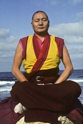 Lama at the Ocean, 1983