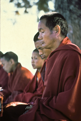 Lama and Rinpoche meditating with MEC students, 1974