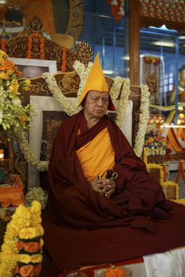 Rinpoche at Sera Je 2013-2014