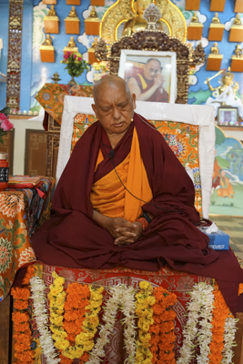 Rinpoche at Sera Je 2013-2014