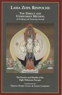 Book cover of The Direct and Unmistaken Method, by Lama Zopa Rinpoche.