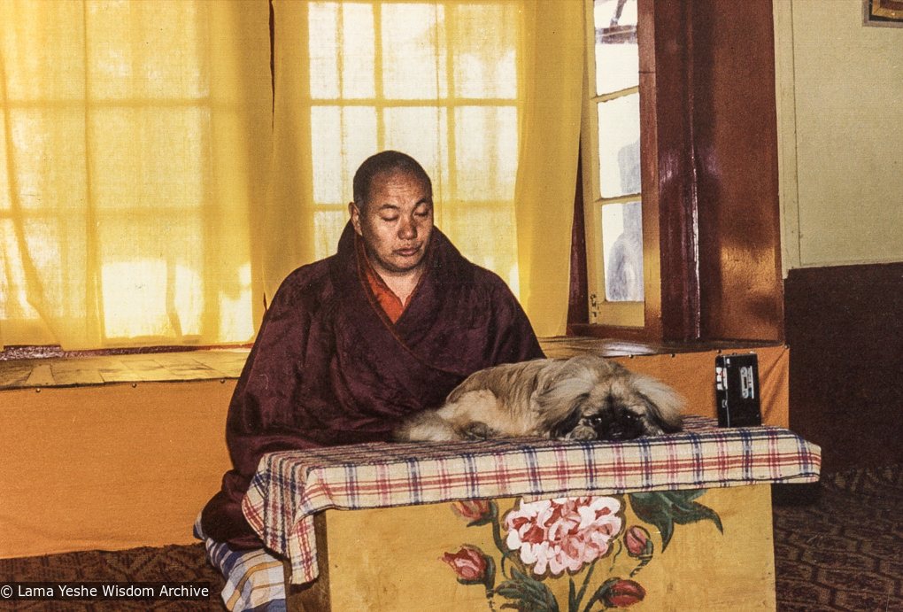 Lama with Yeshe Senge, Tushita-Dharamsala, 1980