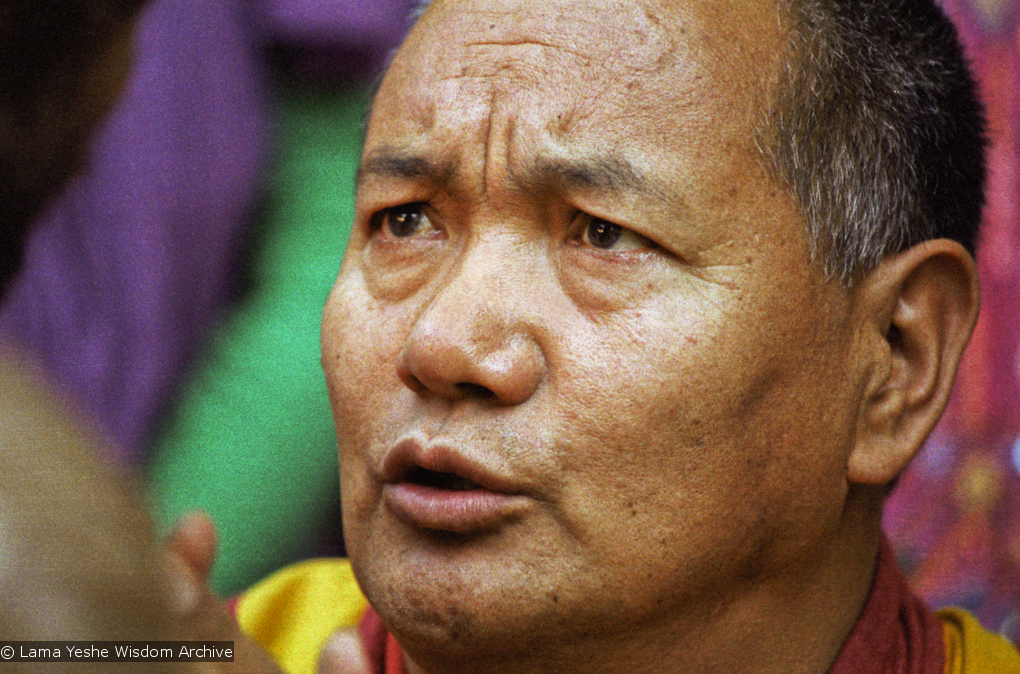 Lama at a family gathering, 1983