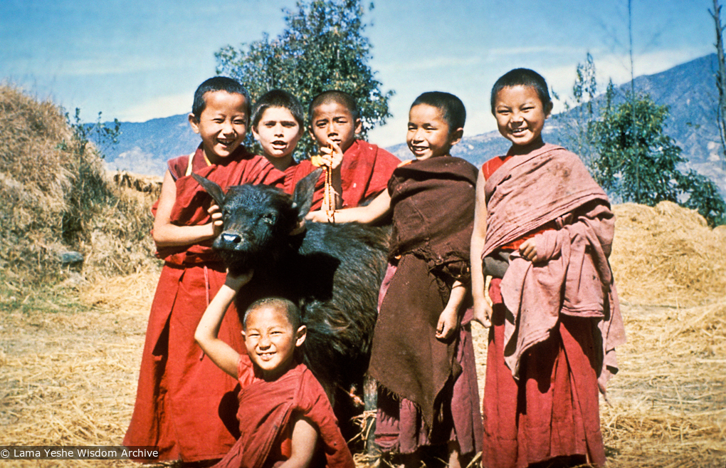 MEC students with a baby water buffalo, 1976