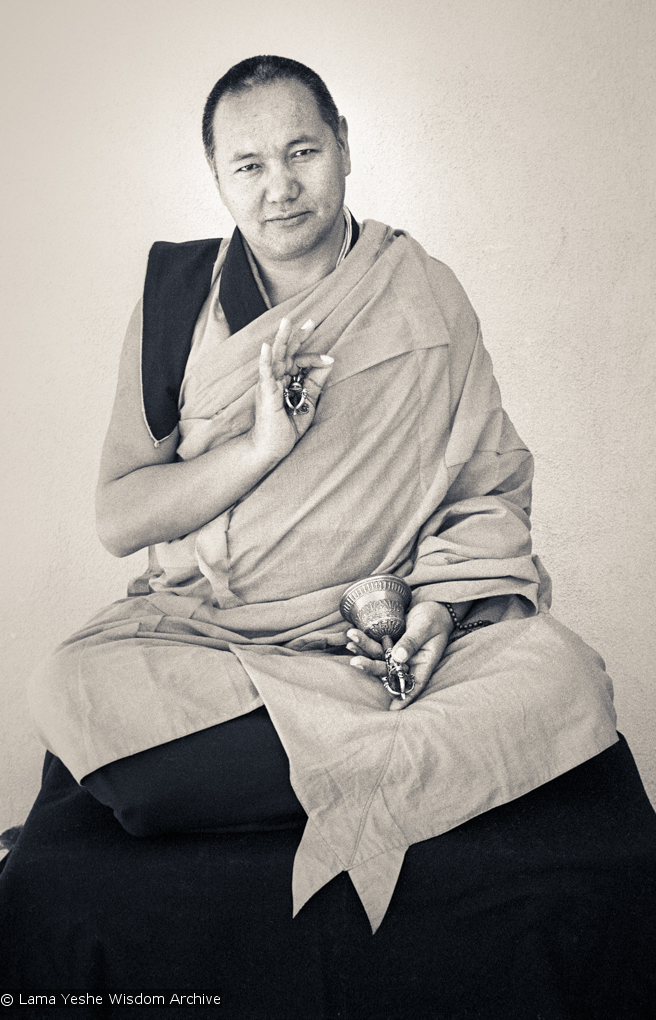 Portraits of Lama, 1977