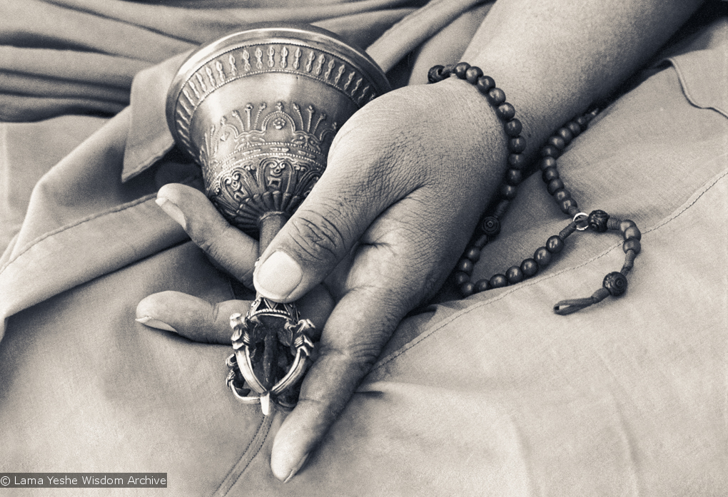 Portraits of Lama, 1977