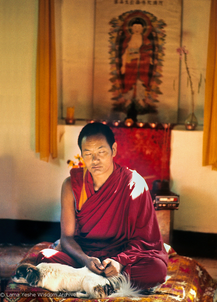 Lama Yeshe with his dog Dolma, 1971