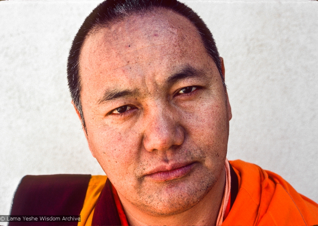 Portraits of Lama, 1977