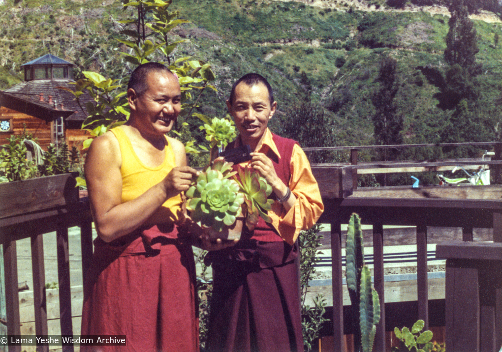 Lama and Gyatrul Rinpoche, California, 1978