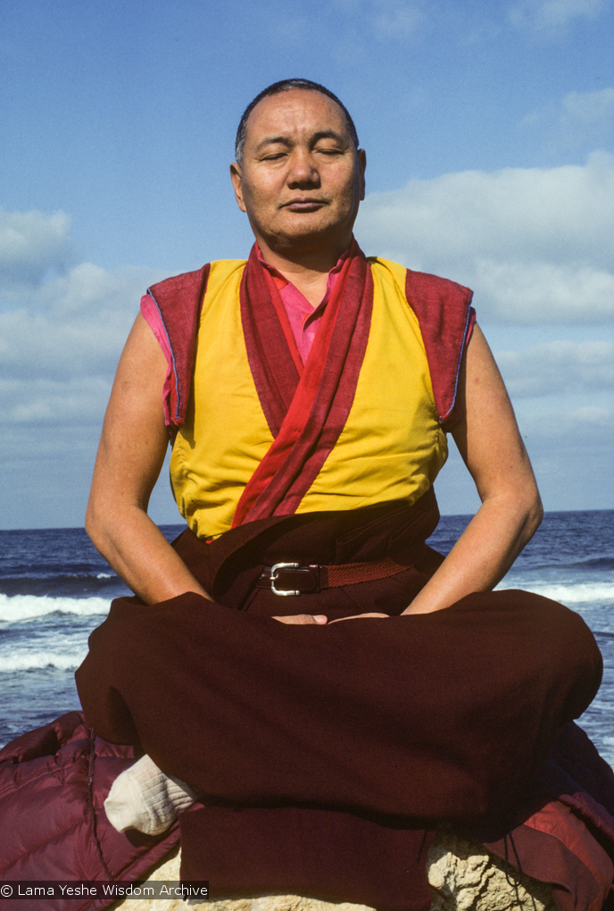 Lama at the Ocean, 1983