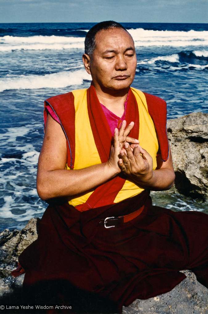 Lama at the Ocean, 1983