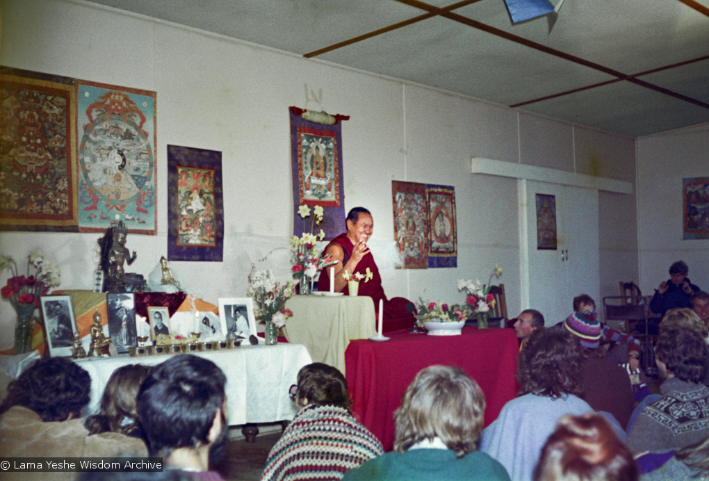 Lama at Olinda, 1976