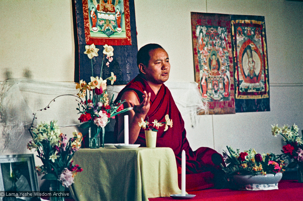 Lama at Olinda, 1976