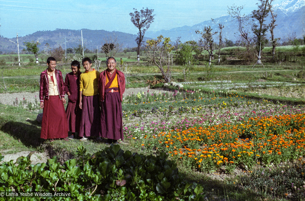 Flower shopping, Dharamsala, 1982