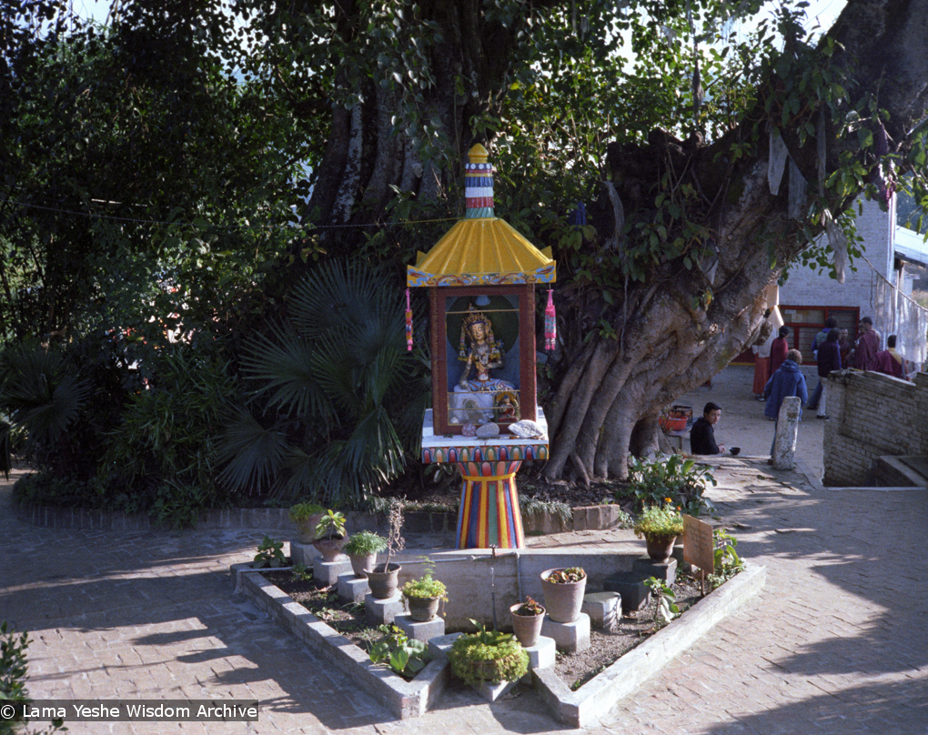 Tara Pond at Kopan, 1979