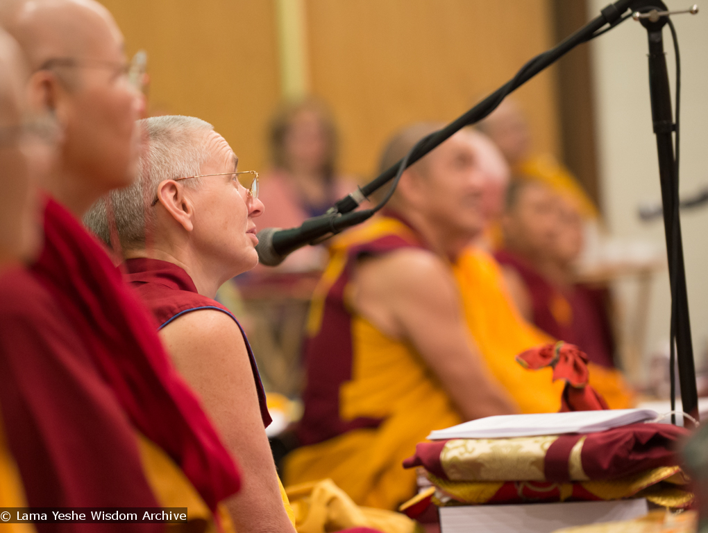 Light of the Path 2014