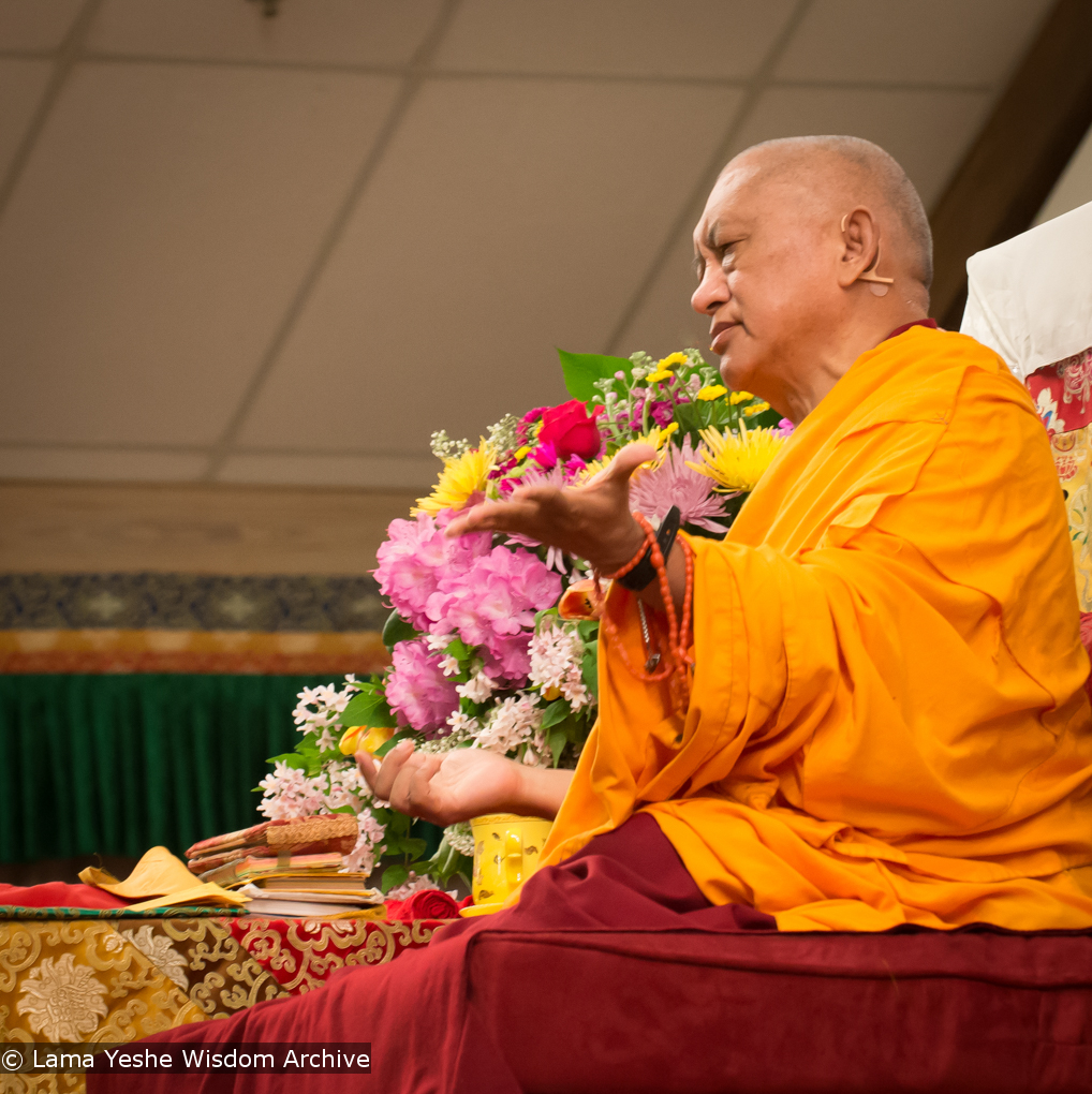 Light of the Path 2014