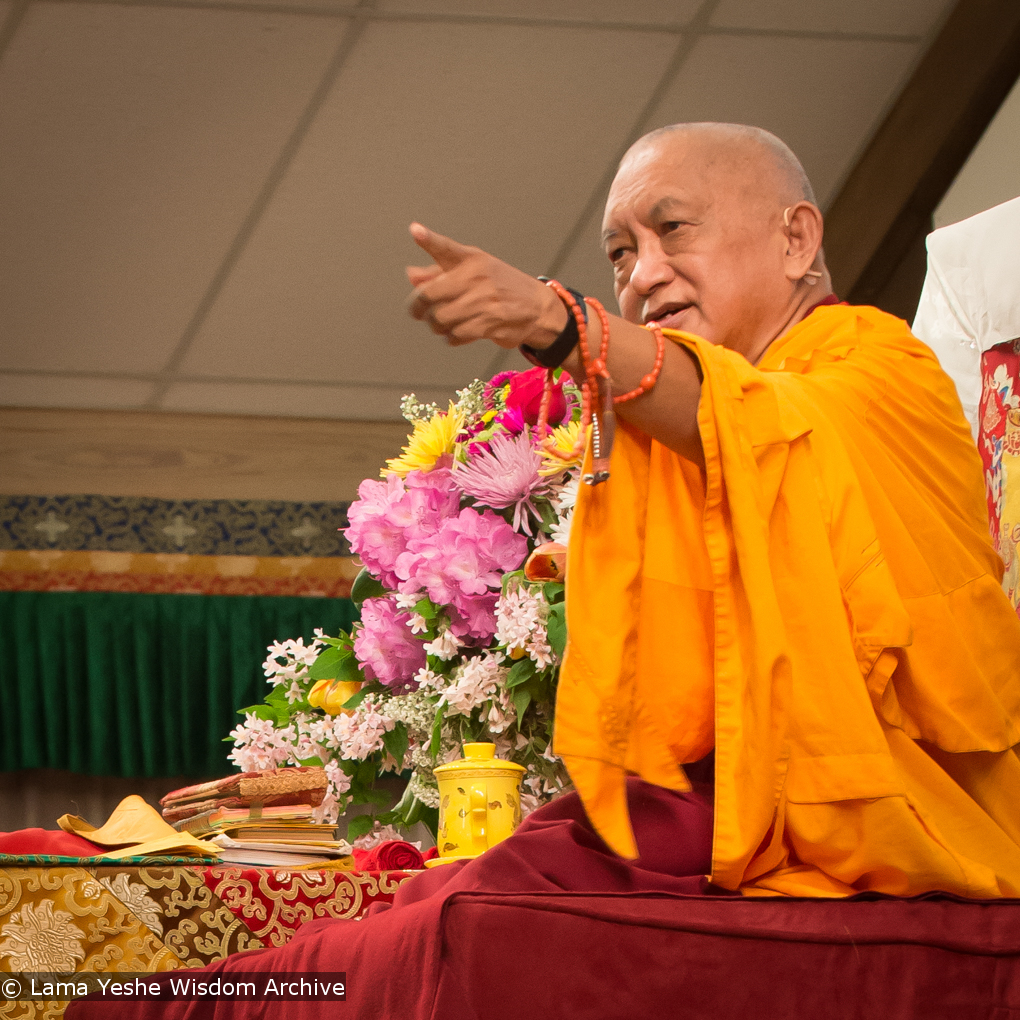 Light of the Path 2014