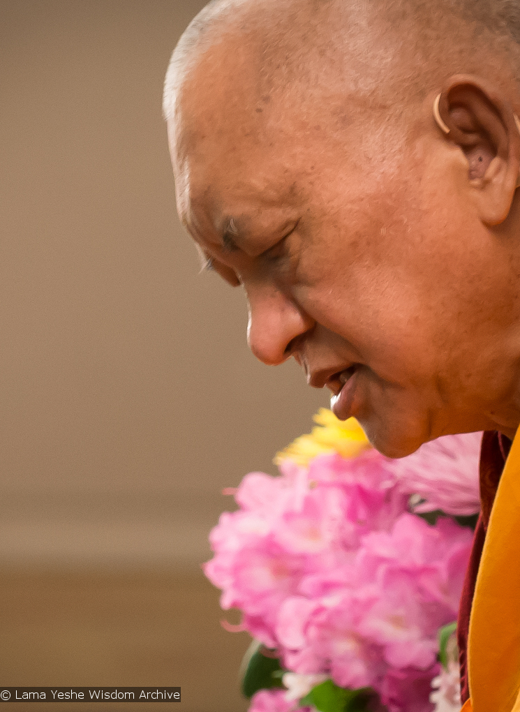 Light of the Path 2014