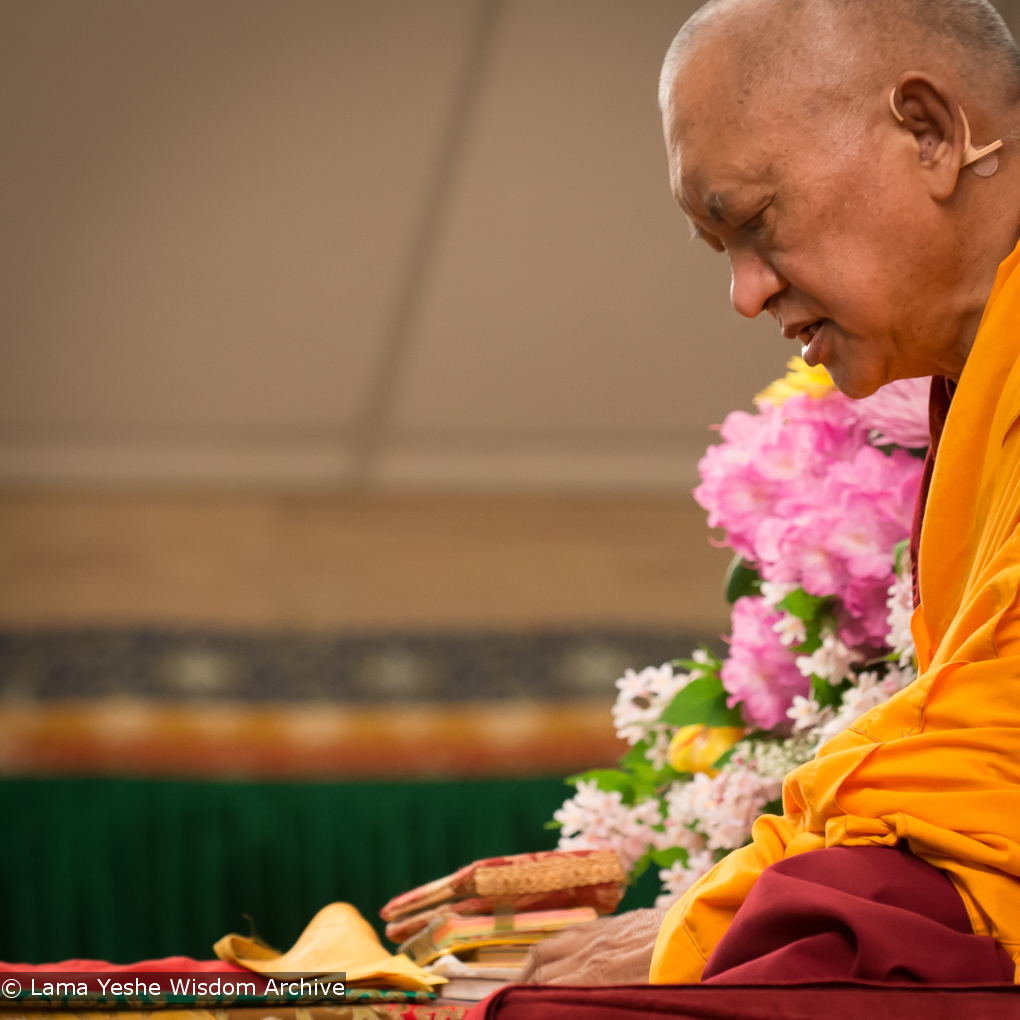 Light of the Path 2014