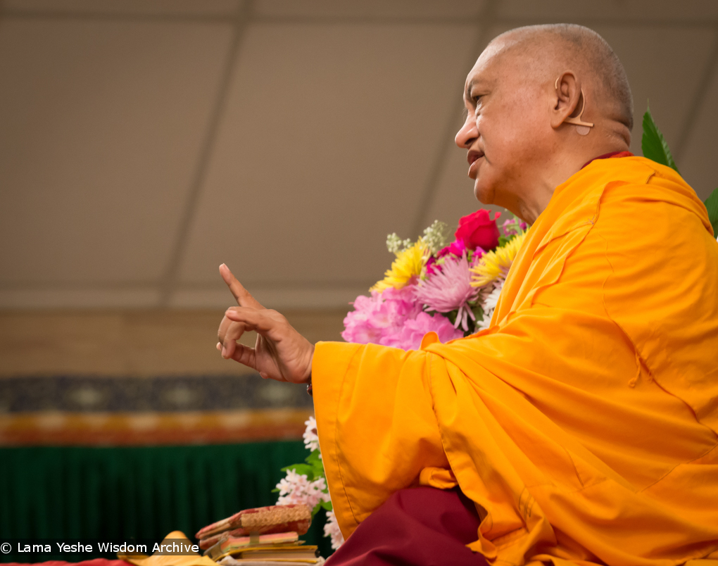 Light of the Path 2014