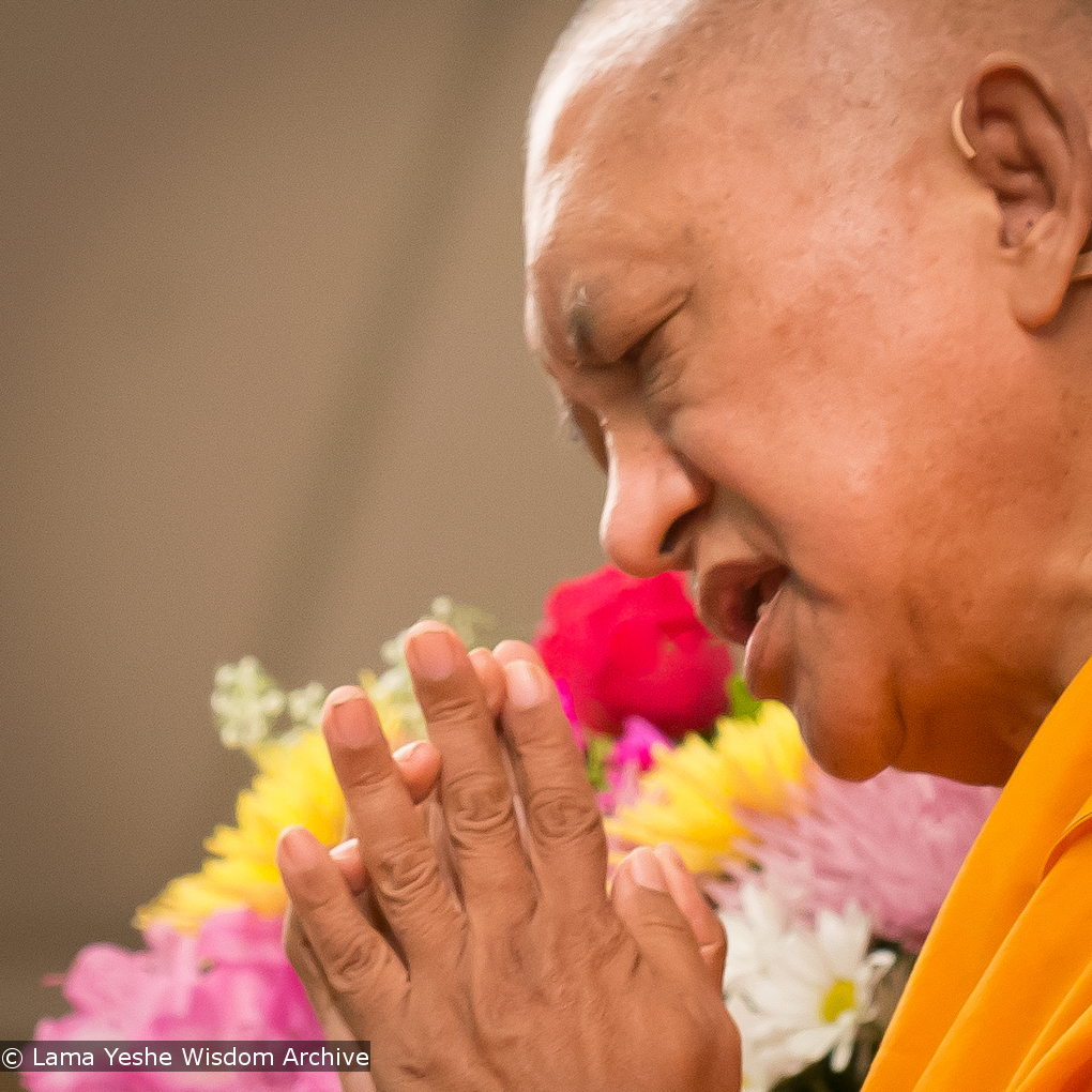 Light of the Path 2014