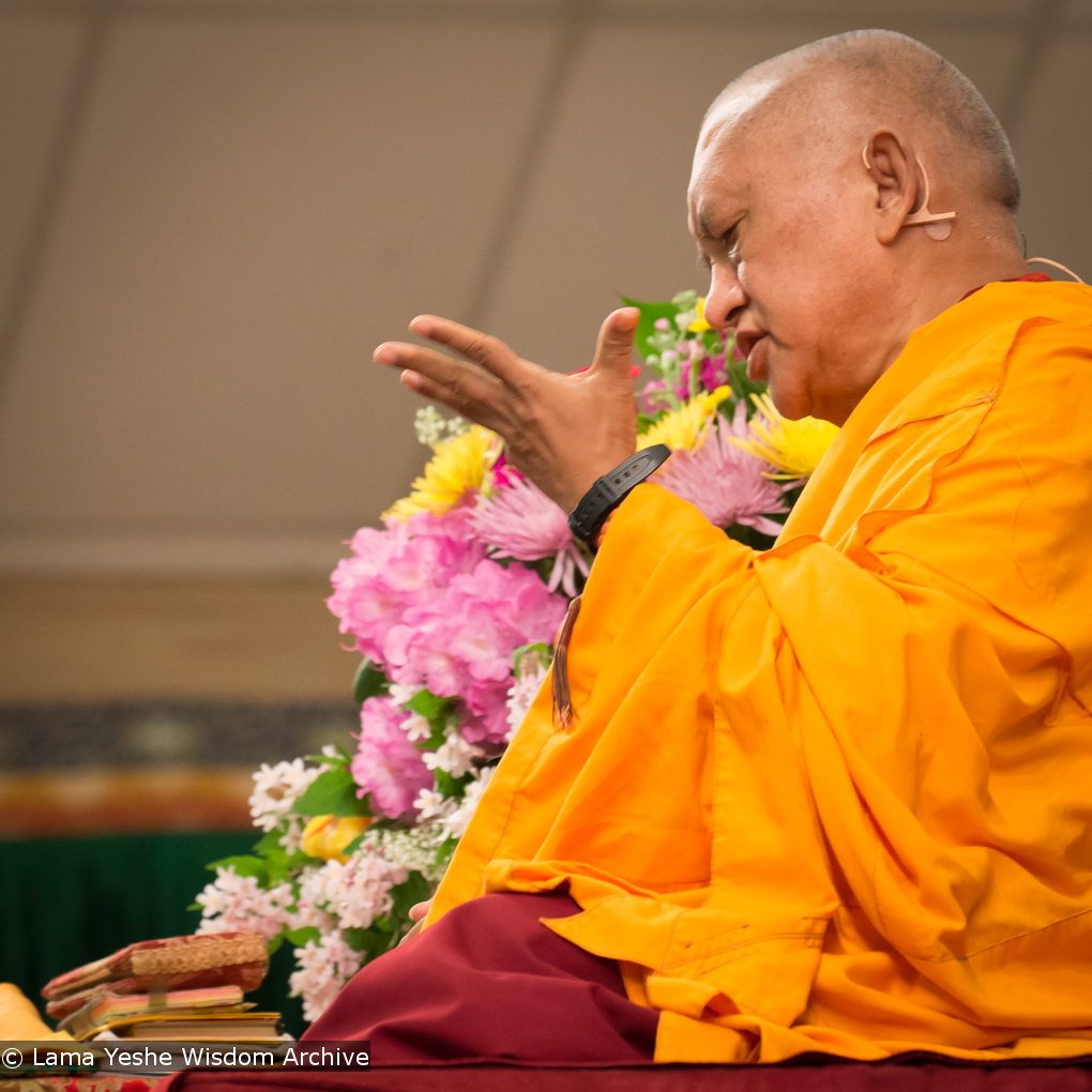 Light of the Path 2014