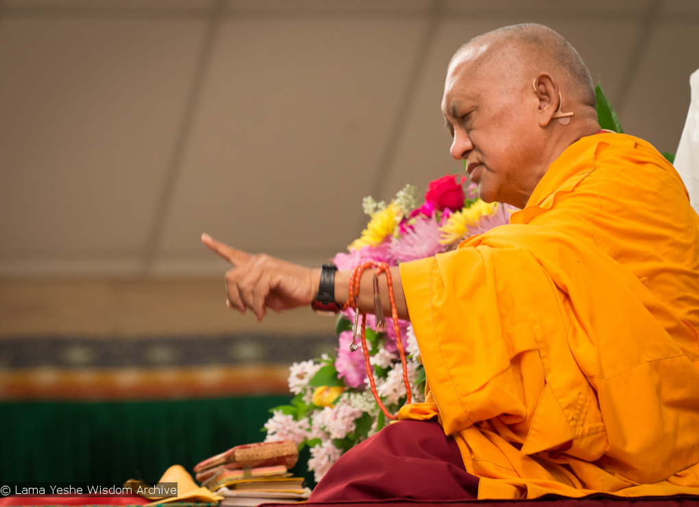 Light of the Path 2014