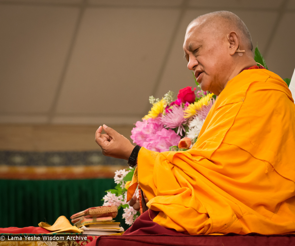 Light of the Path 2014