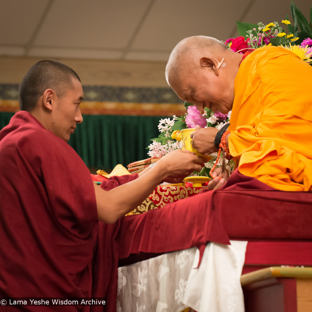 Light of the Path 2014