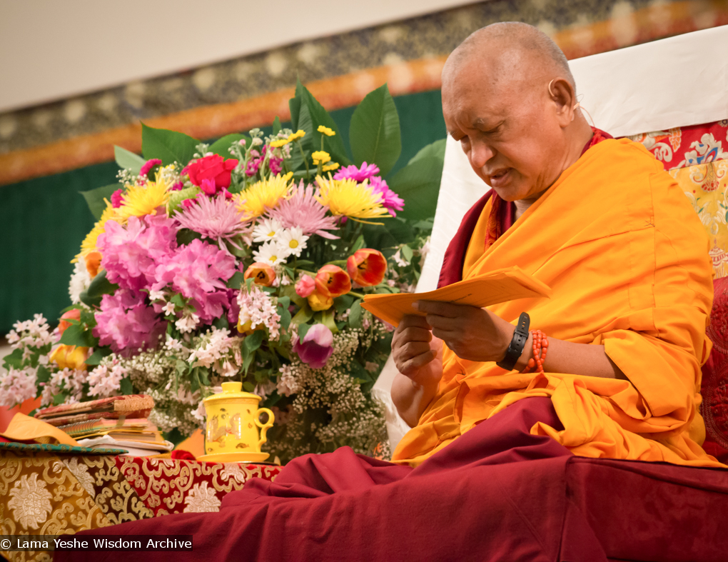 Light of the Path 2014