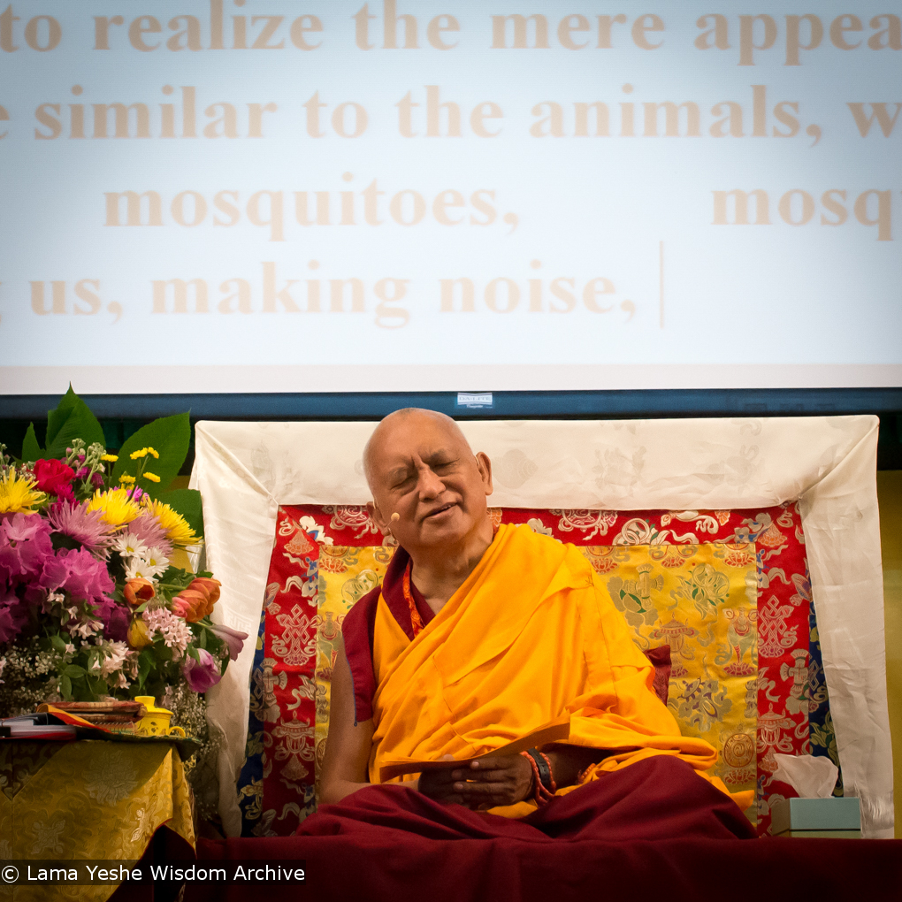 Light of the Path 2014