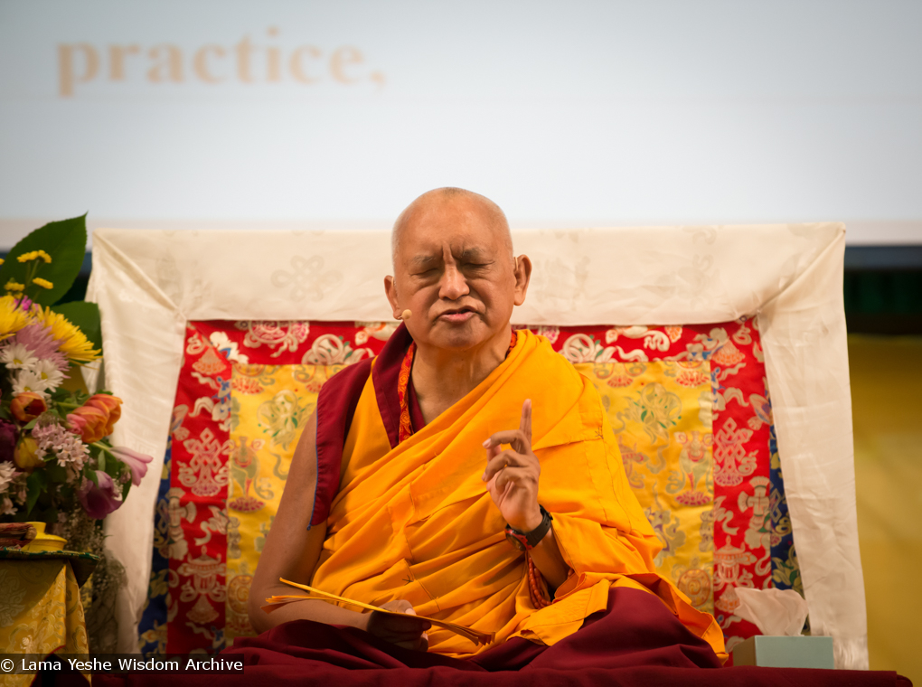 Light of the Path 2014