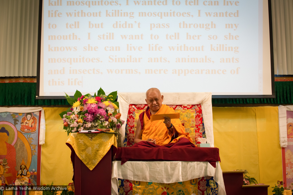 Light of the Path 2014