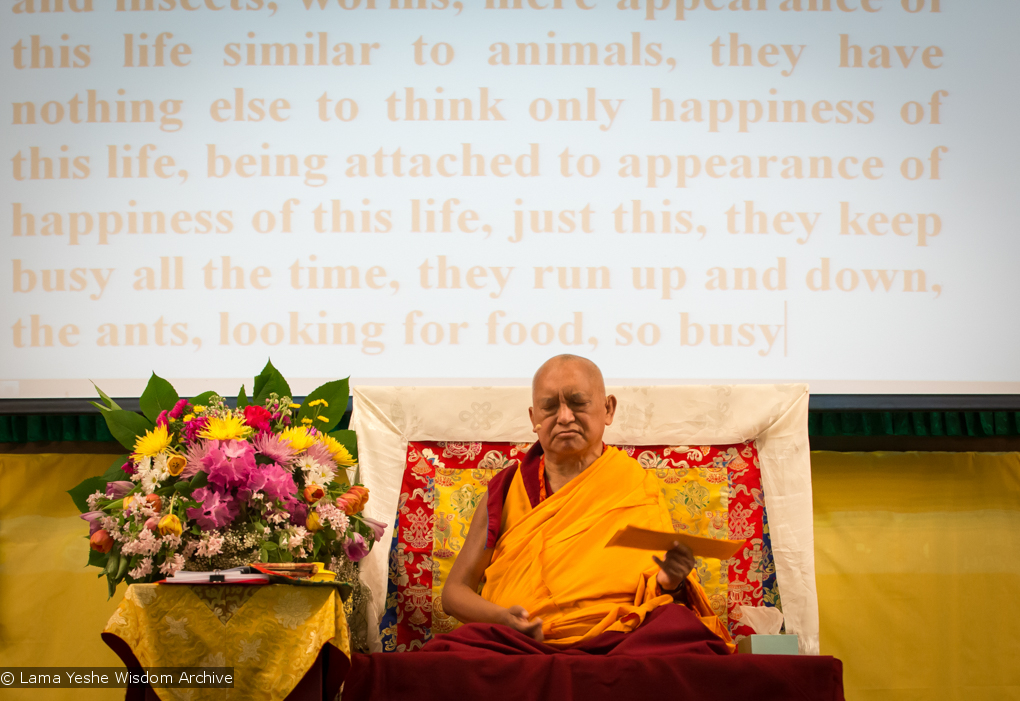 Light of the Path 2014