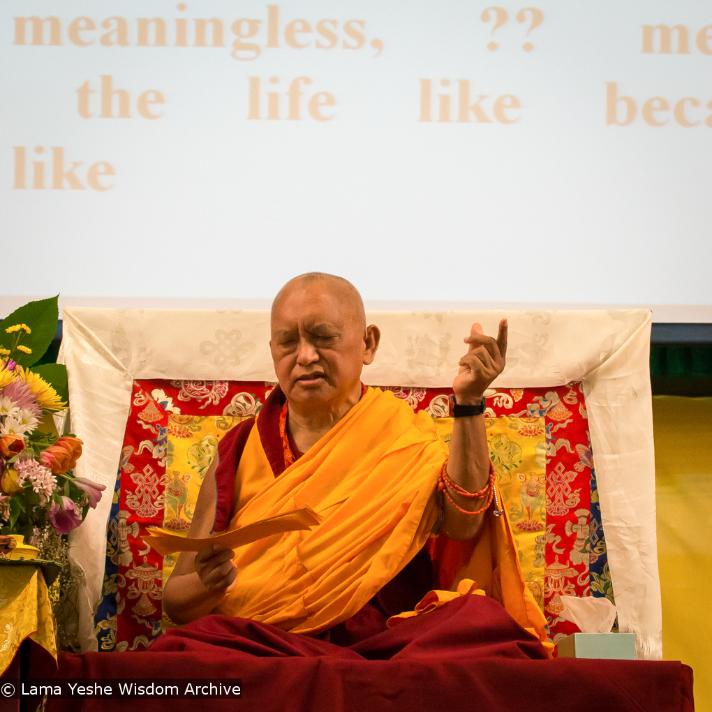 Light of the Path 2014