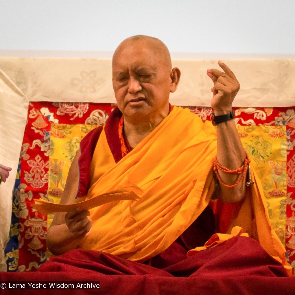 Light of the Path 2014