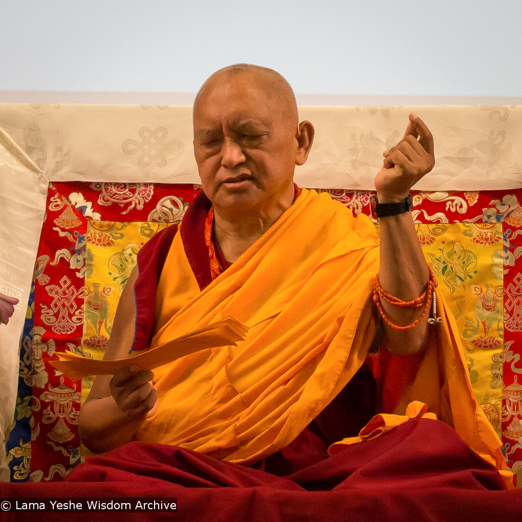 Light of the Path 2014