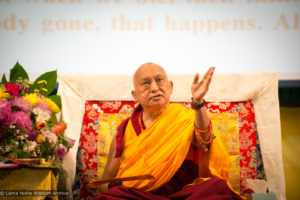 Light of the Path 2014