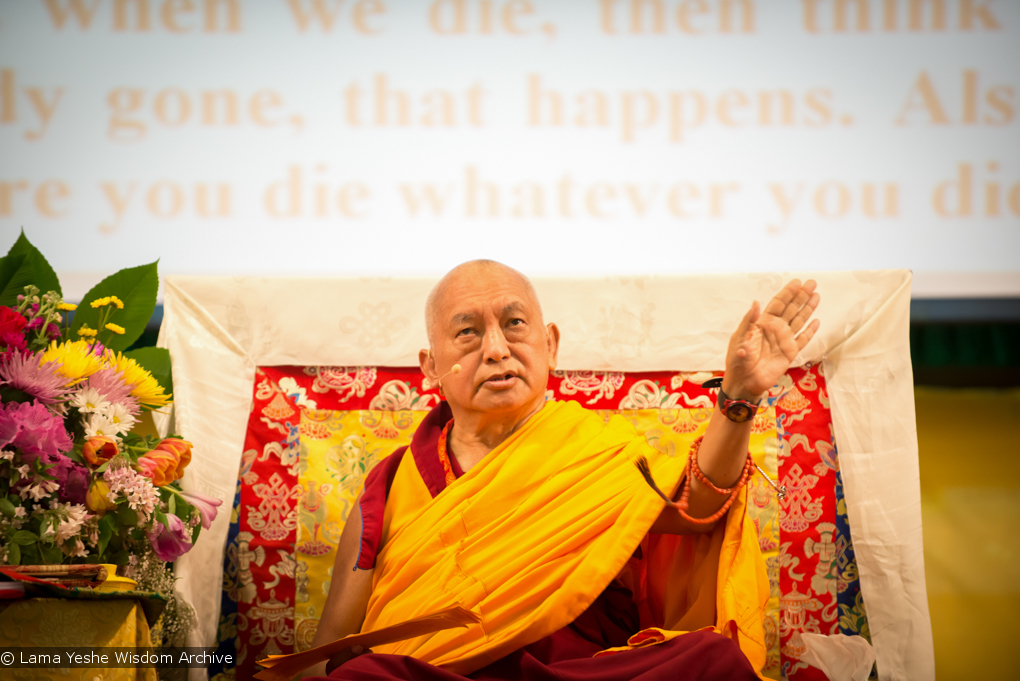 Light of the Path 2014