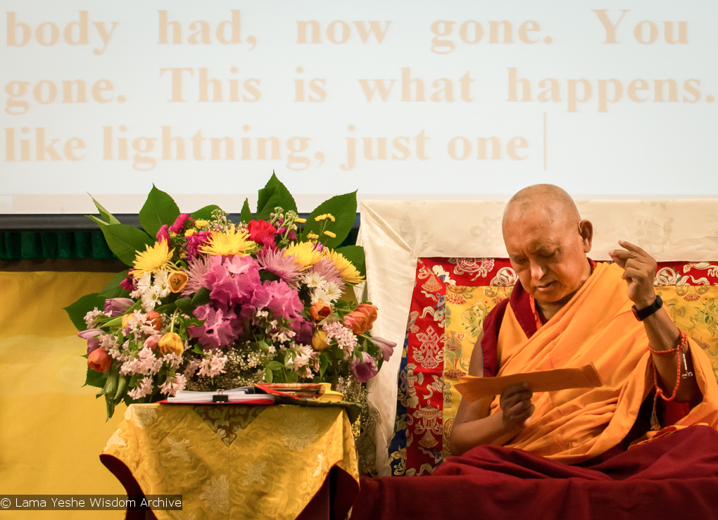 Light of the Path 2014