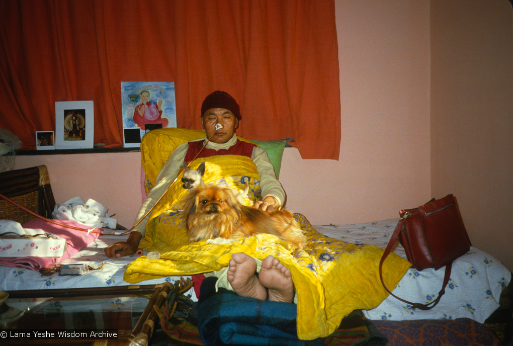 Lama Yeshe 1984