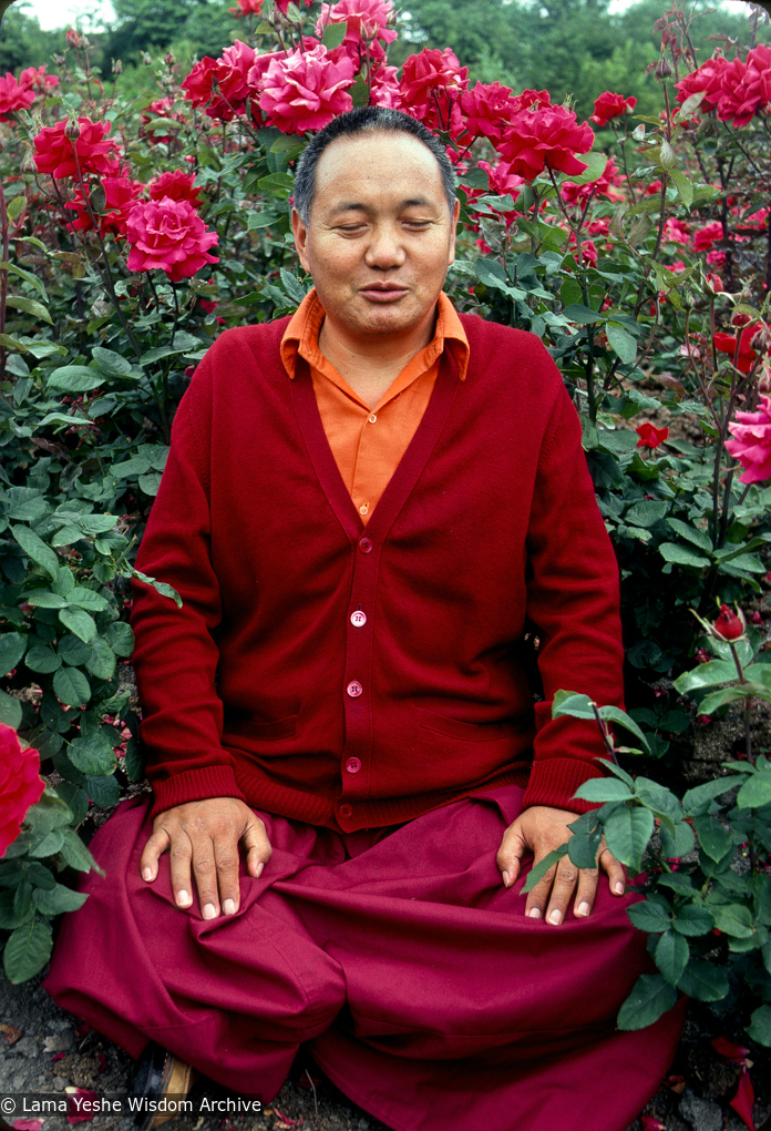 Lama in Vancouver, 1978