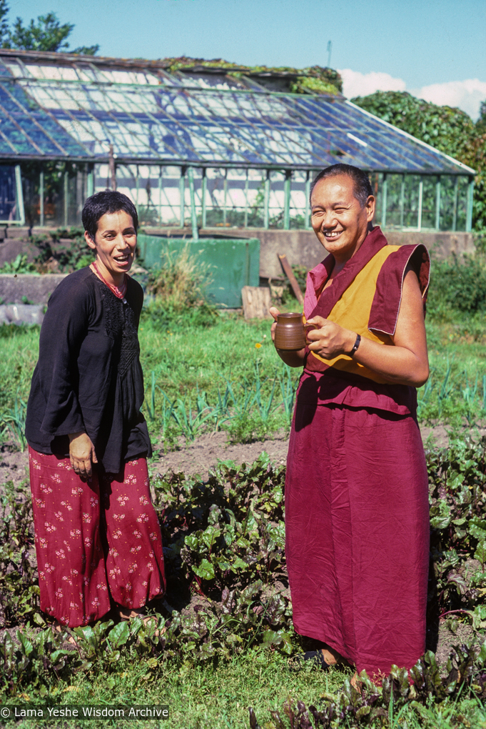 Manjushri garden, Zia, Lama, 1978