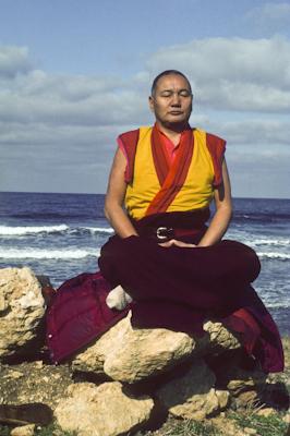 Lama at the Ocean, 1983