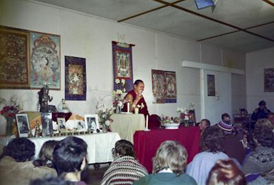 Lama at Olinda, 1976