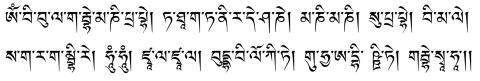 Tibetan script of the Celestial Mansion Extremely Secret Sublime Success mantra.