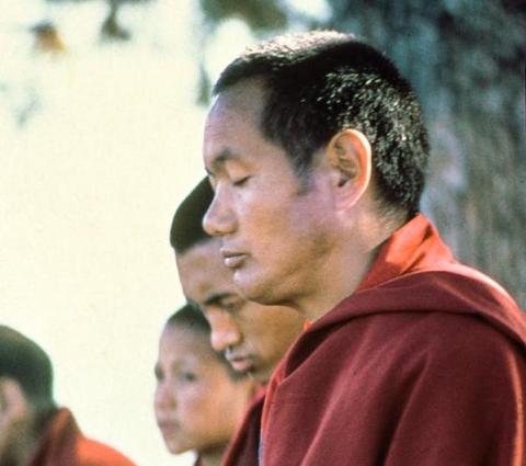 Title image for the multimedia presentation “How to Meditate” featuring Lama Yeshe.
