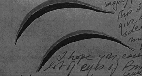 Close-up of Buddha's eyebrow.