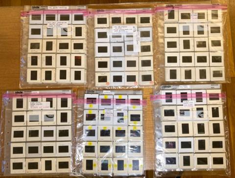 Slides sorted and packaged for the Lama Yeshe Wisdom Archive image collection.